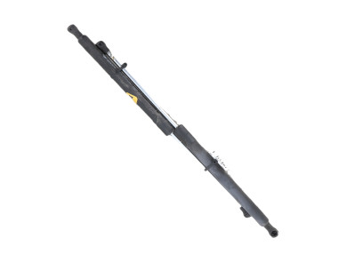 Trunk gas spring (x2) - Renault CLIO III PH.2 - Beige Fonce - 8200299546 - S0-5358E
