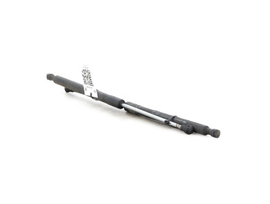 Trunk gas spring (x2) - Renault CLIO III PH.2 - Beige Fonce - 8200299546 - S0-5358E