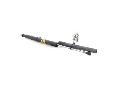 Trunk gas spring (x2) - Renault CLIO III PH.2 - Beige Fonce - 8200299546 - S0-5358E
