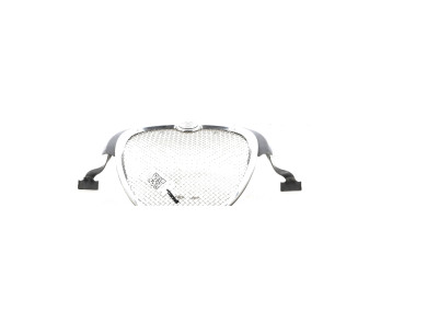 Calandre - Jaguar S-TYPE PH.2 - Gris Fonce - XR840243 - I1-2067J