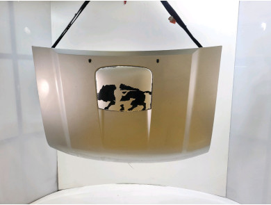 Hood (Bonnet) used - Nissan PICK-UP - F5100-VK5MM-