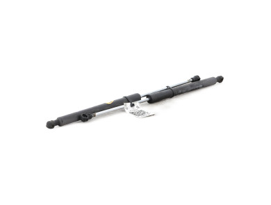 Trunk gas spring (x2) - Renault CLIO III PH.1 - Noir - 8200299546 - K1-7264M