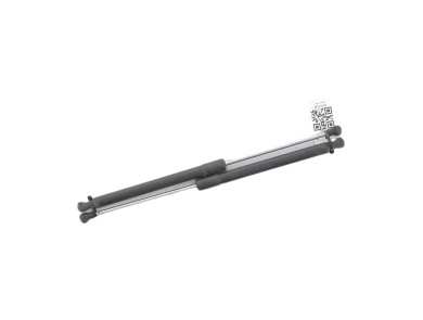 Paire verins coffre hayon malle - Renault CLIO III PH.1 - Gris Clair - 8200299546 - M0-6189I