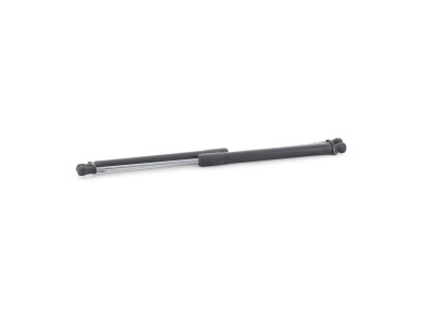 Paire verins coffre hayon malle - Renault CLIO III PH.1 - Gris Clair - 8200299546 - M0-6189I