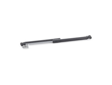 Paire verins coffre hayon malle - Renault CLIO III PH.1 - Gris Clair - 8200299546 - M0-6189I