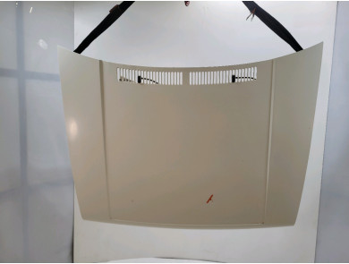 Capot occasion - Volkswagen GOLF - 191823031E