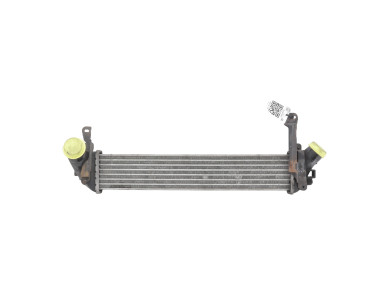 Intercooler - Renault KANGOO I PH.2 - 8200732390 - M1-8156H