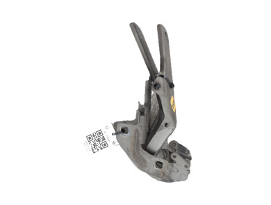 Hood hinges - Citroen C4 PICASSO I - Beige Fonce - 00007912A2 - A1-7365P