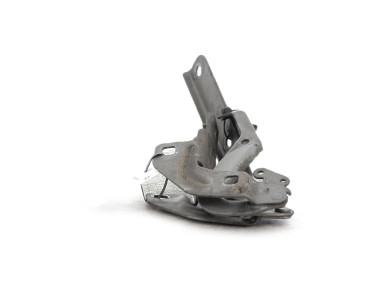 Hood hinges - Citroen C4 PICASSO I - Beige Fonce - 00007912A2 - A1-7365P