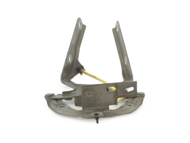 Charnières de capot - Citroen C4 PICASSO I - Jaune Clair - 00007912A2 - X1-7304X