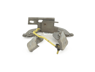 Charnières de capot - Citroen C4 PICASSO I - Jaune Clair - 00007912A2 - X1-7304X