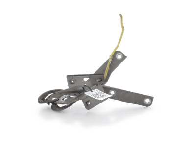Charnières de capot - Citroen C4 PICASSO I - Beige Clair - 00007912A2 - J2-2909L