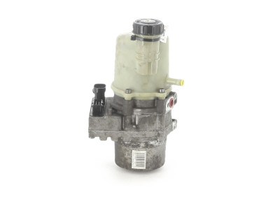 Power steering pump used - Dacia SANDERO - 491106619R
