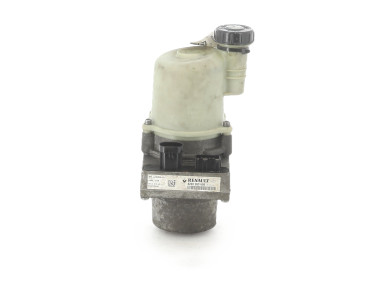Power steering pump - Dacia SANDERO I - 491106619R - P1-7051B