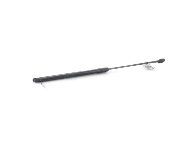 Trunk gas spring (x2) - Renault WIND - Noir - 904520002R - V0-9874C