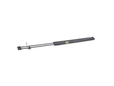 Paire verins coffre hayon malle - Renault WIND - Noir - 904520002R - V0-9874C