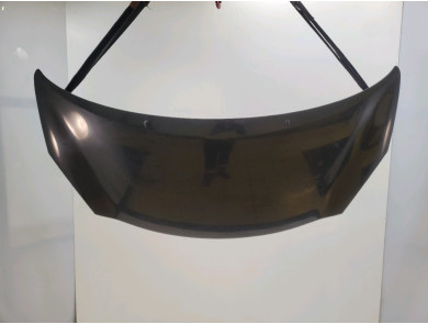 Capot - Renault WIND - Noir - 651006222R - M0-9672I
