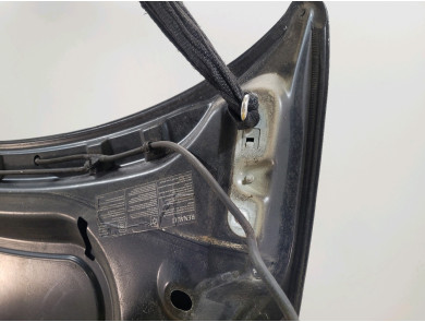 Hood (Bonnet) - Renault WIND - Noir - 651006222R - M0-9672I