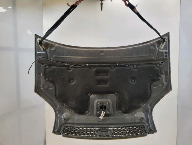 Hood (Bonnet) - Ford FUSION PH.2 - Gris Fonce - 1532551 - I1-8685A