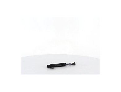Verins capot - Mercedes CLASSE ML I PH.2 - Gris Clair - A1638800029 - R1-2296E