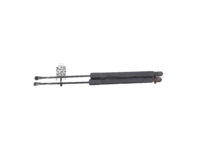 Trunk gas spring (x2) - Volkswagen GOLF V - Gris Fonce - 1K6827550F - Z0-9881W