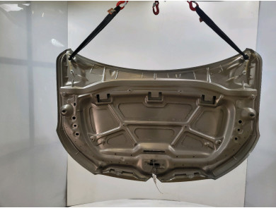 Hood (Bonnet) - Citroen C-ELYSEE PH.1 - 9674787580 - N1-7504X