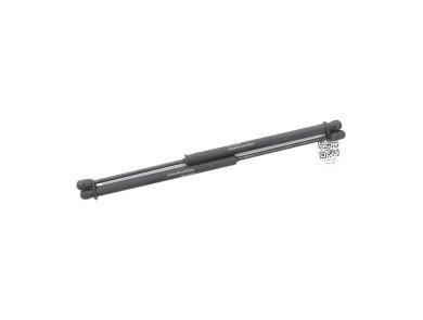 Paire verins coffre hayon malle occasion - Fiat PUNTO - 0000046524678