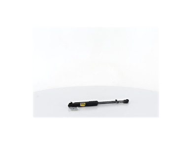 Verins capot - Fiat TALENTO II - Blanc - 6000620456 - H1-5399Q