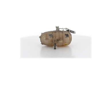 Coolant expansion tank - Fiat TALENTO II - 6000640717 - C1-5399I