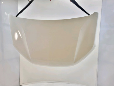 Capot occasion - Dacia SANDERO - 651005909R