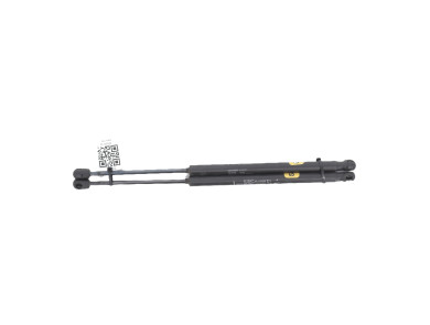 Trunk gas spring (x2) - Fiat PUNTO II PH.2 - Gris Clair - 0000046524678 - I1-3102I