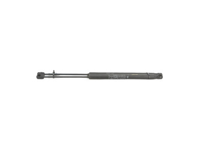 Paire verins coffre hayon malle - Fiat PUNTO II PH.2 - Gris Clair - 0000046524678 - I1-3102I