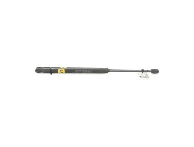Paire verins coffre hayon malle - Fiat PUNTO II PH.2 - Gris Clair - 0000046524678 - I1-3102I