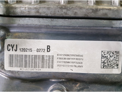 Engine type Z22D1 - Chevrolet CAPTIVA PH.2 - N1-4378P