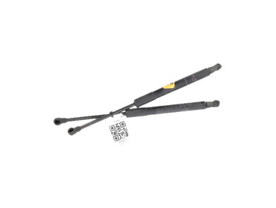 Trunk gas spring (x2) used - Toyota IQ - 689600W550