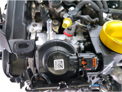 Engine type K9K876 - Renault CLIO V PH.1 - Q1-9316W