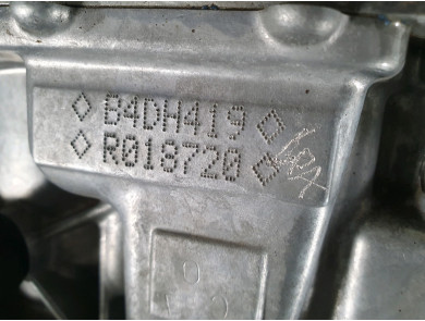 Engine type B4D419 - Dacia SANDERO III PH.1 - Q0-3869Z