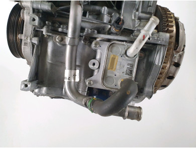 Engine type B4D419 - Dacia SANDERO III PH.1 - Q0-3869Z