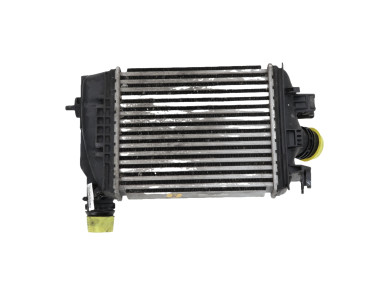 Intercooler - Renault CLIO V PH.1 - 144966668R - N1-6129R