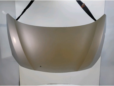 Capot occasion - Renault FLUENCE - 651002244R