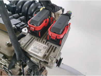 Moteur type 169A4000 - Fiat PUNTO EVO III - S1-8324Q