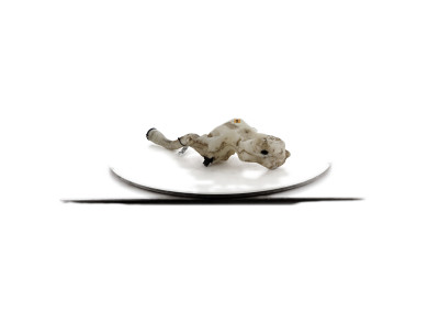 Bocal lave glace - Peugeot 3008 I PH.1 - 6431N2 - F1-6631F