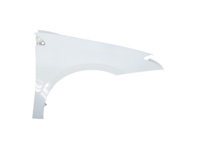 Aile avant droite - Renault LAGUNA III PH.2 - Blanc - 631000032R - T1-7252A