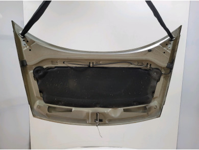 Capot - Citroen C3 I PH.2 - Gris Clair - 00007901N0 - T0-3025B