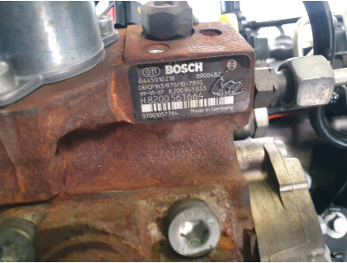 Engine type F9Q872 - Renault SCENIC III PH.1 - W1-8667Q