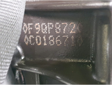 Engine type F9Q872 - Renault SCENIC III PH.1 - W1-8667Q