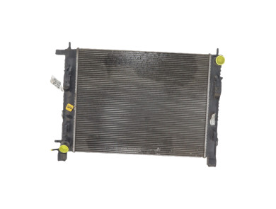 Radiateur d'eau - Dacia SANDERO II PH.1 - 214107326R - M1-8181L