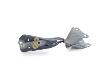 Hood hinges - Renault TWINGO II PH.1 - Bleu Fonce - 8200343122 - G1-8344I