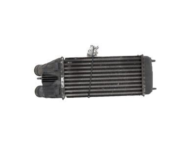 Intercooler - Peugeot 207 - 0384N8 - Z1-5788E