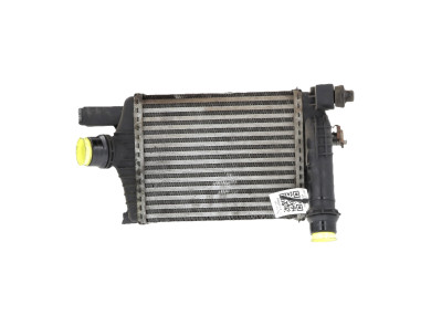 Intercooler - Renault CLIO ESTATE IV PH.1 - 144961381R - F1-5797M